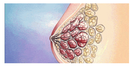 1747125746592277.png image.png