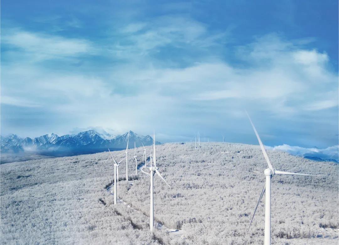 微信图片_20211202163905.jpg 微信图片_20211202163905.jpg